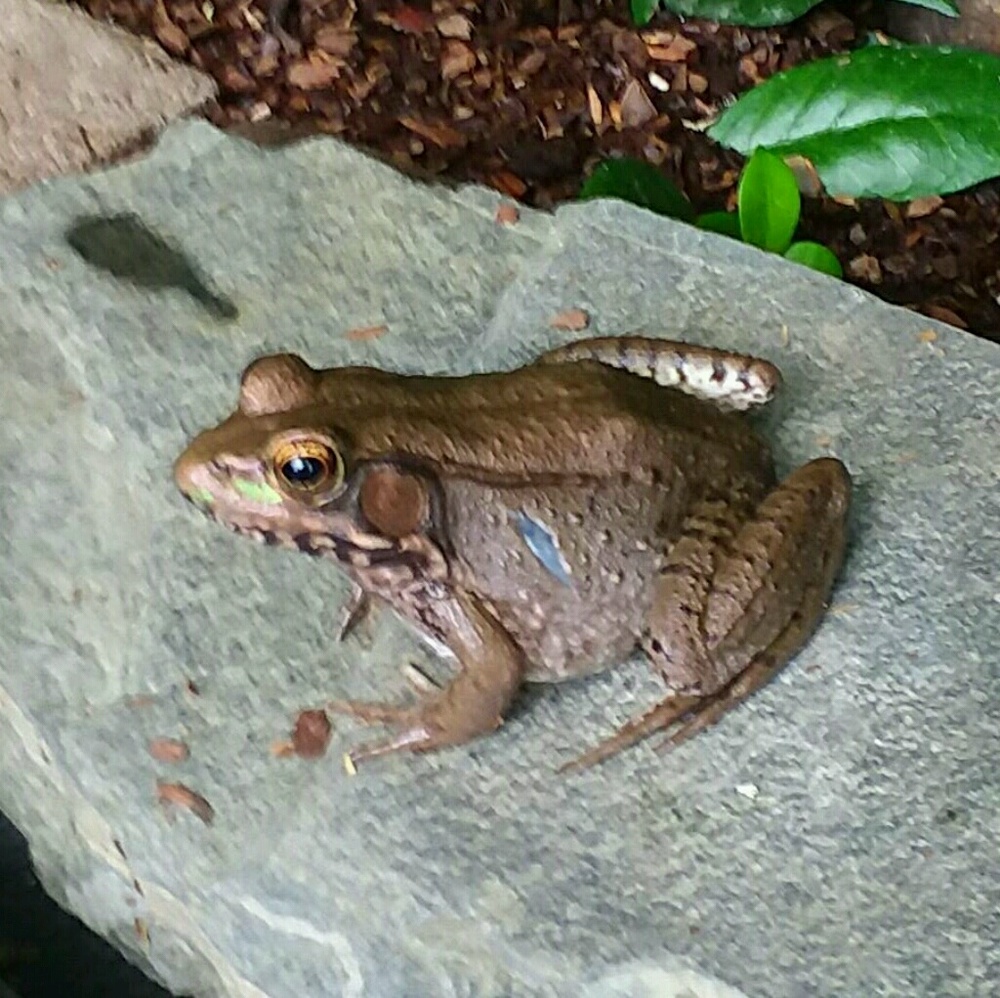 Meet your Posher, Scott